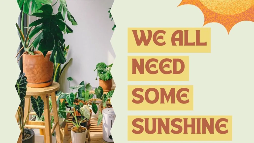 We All Need Some Sunshine - North Dakota passes Concurrent Resolution Addressing Vitamin D - Dr. Beth Sanford